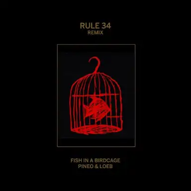 Rule #34 (Remix)