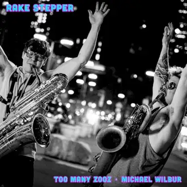 Rake Stepper