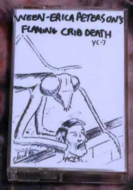 Erica Peterson’s Flaming Crib Death