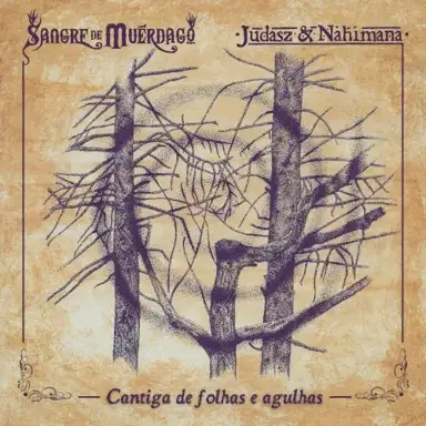 Cantiga de Folhas e Agulhas (live session)