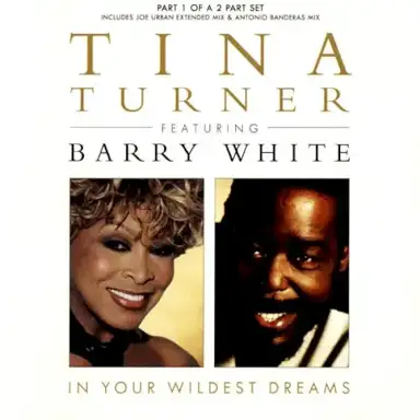 In Your Wildest Dreams
