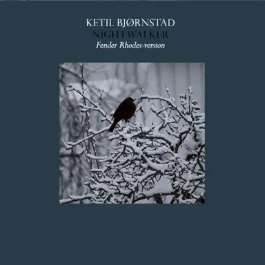 Nightwalker (Fender Rhodes Version)