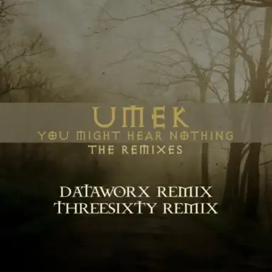 You Might Hear Nothing (The Remixes)