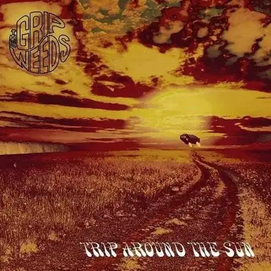 Trip Around The Sun