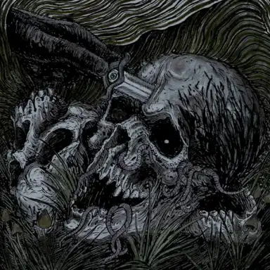 Time’s Withering Shadow
