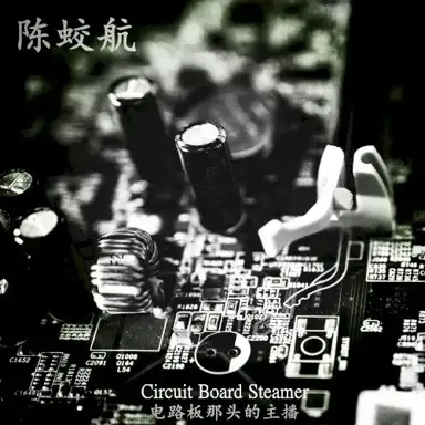 Circuit Board Steamer