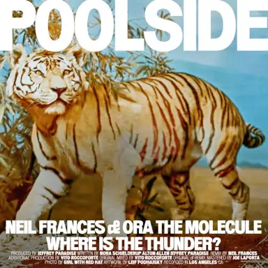 Where Is the Thunder? (NEIL FRANCES remix)