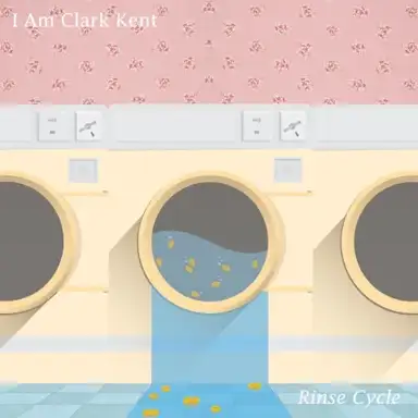 Rinse Cycle