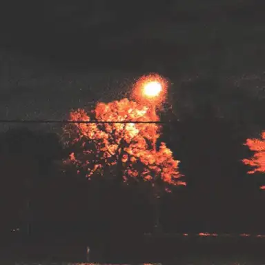 springnight moment