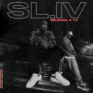 Skanless Levels 4