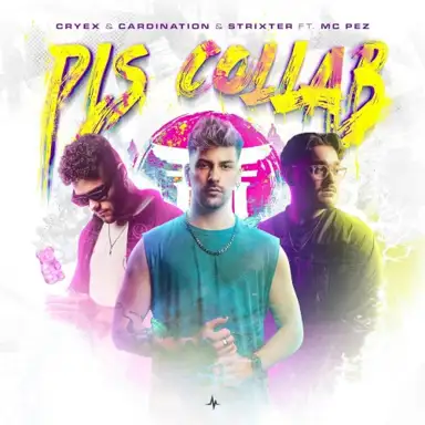 PLS COLLAB