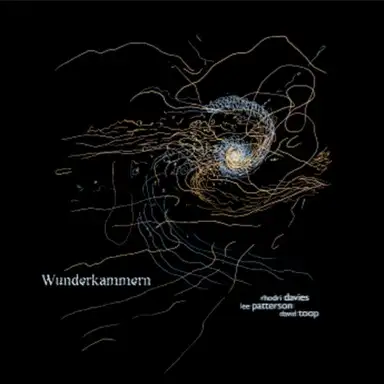 Wunderkammern