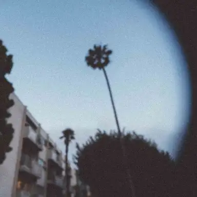 Rosewood