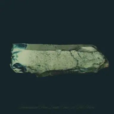 Immortalised From Death / Face In The Chrome