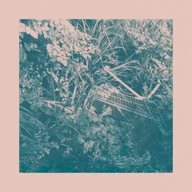 Walk in the Forest Acid
