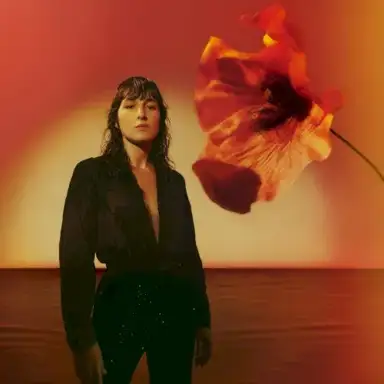 Le Dernier Jour du Disco