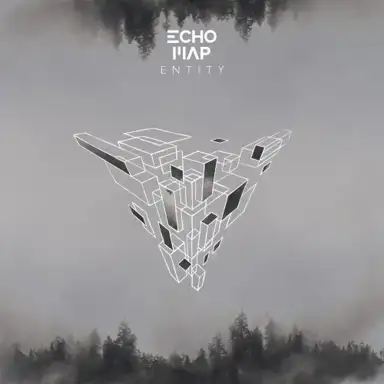 Entity