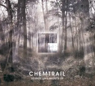 Sounds Like Ghosts