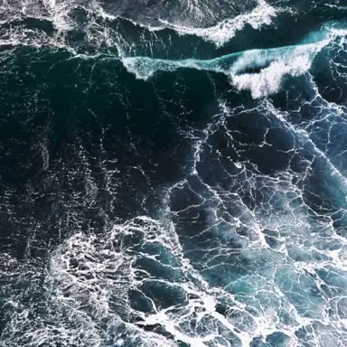 Ocean Eyes
