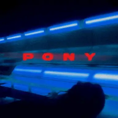 Pony