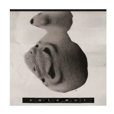 Volemoi