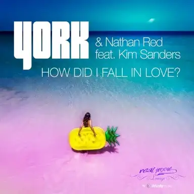 How Did I Fall In Love ?