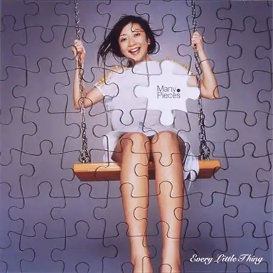 Many Pieces