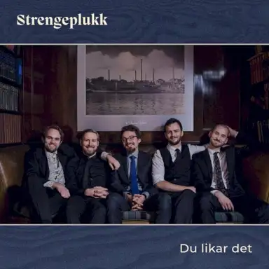 Du likar det
