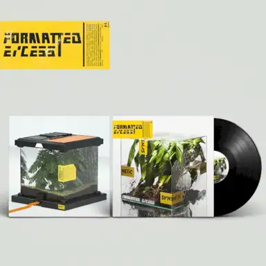 Formatted Excess