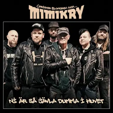 Ni är så jävla dumma i huvet