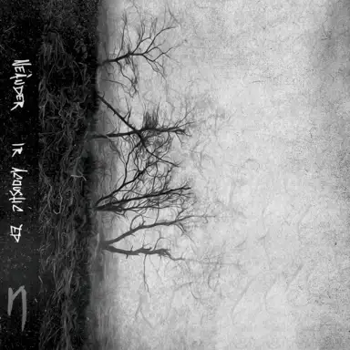 ir acoustic ep