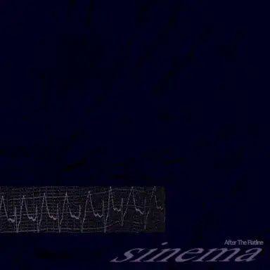 After the Flatline