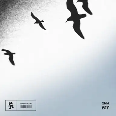 FLY