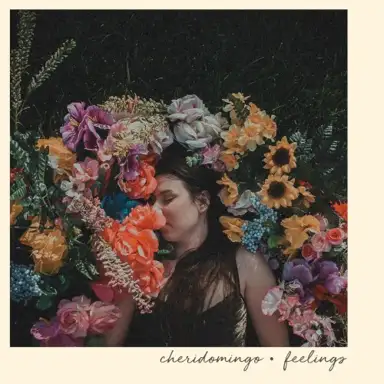 Feelings