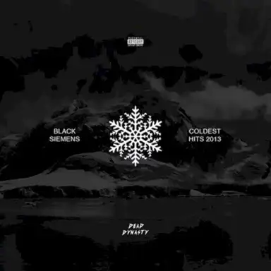BLACK SIEMENS