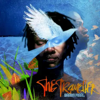 The Traveller