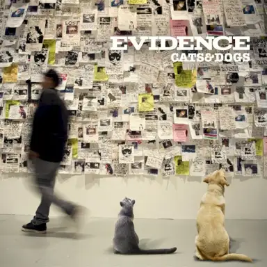 Cats & Dogs (instrumental version)