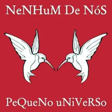 Pequeno Universo