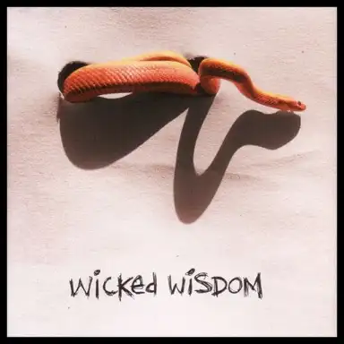 Wicked Wisdom