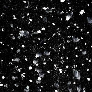 Blackout