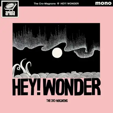 HEY! WONDER