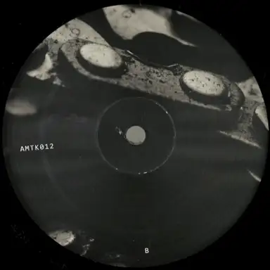 Amotik 012