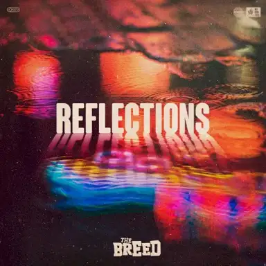 Reflections