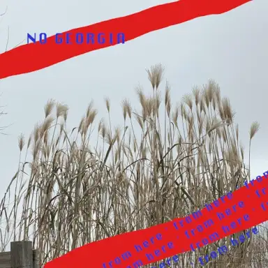 no georgia