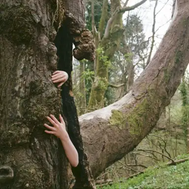 Overgrown