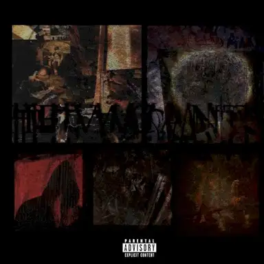 The Vacants