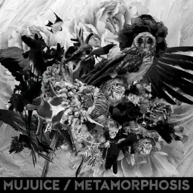 Metamorphosis
