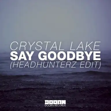 Say Goodbye (Headhunterz radio edit)