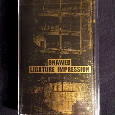 Gnawed / Ligature Impression