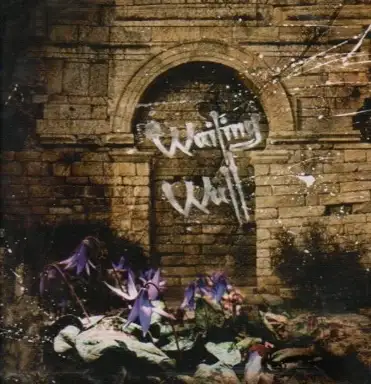 Wailing Wall